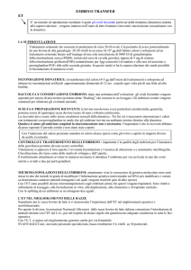 genetica 4 - daniele vaccari