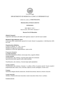 UNIVERSITA` degli STUDI di FOGGIA