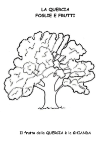 la quercia - IC “Toti”