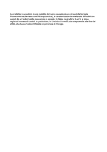 Swine vesicular disease is a disease caused by a virus of the family