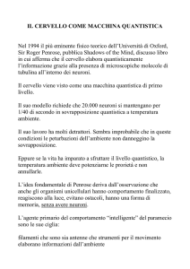 il cervello come macchina quantistica