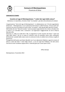 conferenza lago 11 novembre