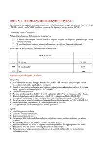 Capitolato lotti modificati 2