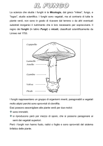 doc per word - Atuttascuola