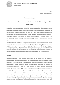 Università degli Studi di Verona