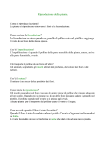 Riproduzione della pianta - Digilander