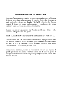 Scarica descrizione iniziativa