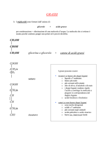 grassi - Share Dschola