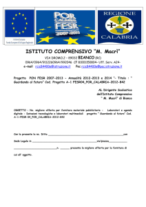 allegato b - Istituto comprensivo M. Macrì