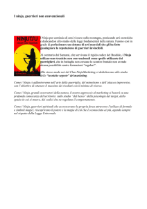 Sesta lezione: I 10 Principi del Ninja Marketing