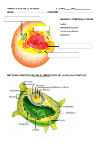 Verifica di Scienze: La Cellula - Esercizi