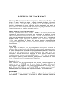 Il test HER2