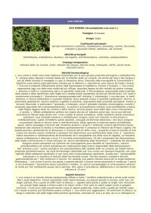 uva ursina - Farmacia S. Antonio – Brescia