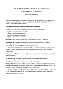 Meccanica Quantistica non Relativistica (Amadori
