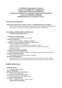 Anatomia - Facoltà di Medicina e Chirurgia