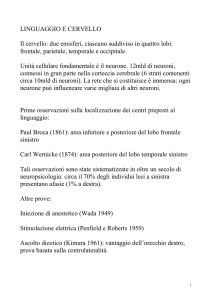 LingGen-linguaggio_cervello-2004