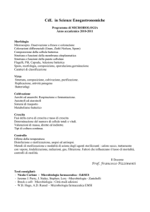 X - Università degli Studi di Messina