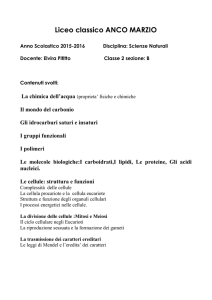 PROGRAMMA DI SCIENZE