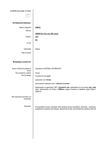 Curriculum esempio