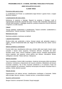 Igiene_anatomia_3C