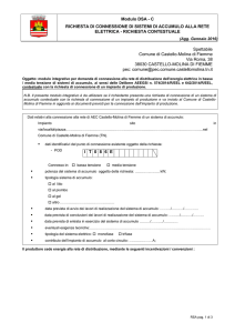 File "modulo DSA - C richiesta connessione di sistemi di