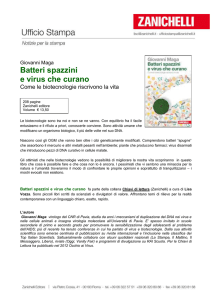 comunicato stampa
