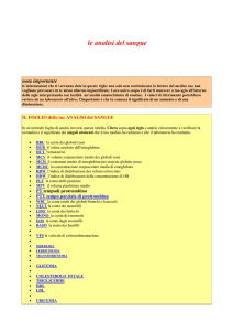 le analisi del sangue nota importante le informazioni che ti verranno