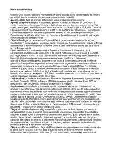 Peste suina africana - Cooperativa Agricola del Bidente Società