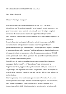 un orologio dentro le nostre cellule