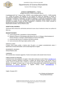 Avviso di selezione interna n. 7 del 24 giugno 2013