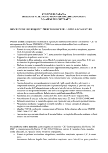 descrizione lotto 3