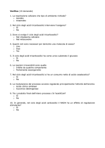 questionario