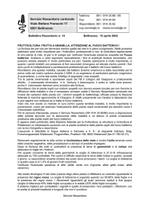 15.04.2002 Frutticoltura Frutta a granella, attenzione al fuoco batterico