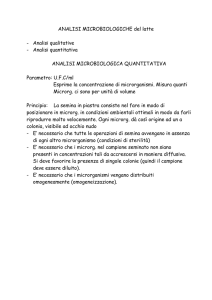 analisi microbiologiche