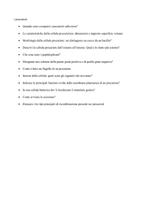 procarioti - Docenti.unina