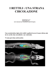ricerca rettili Toni