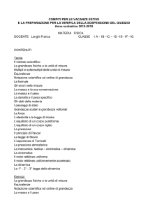 lavori estivi di fisica