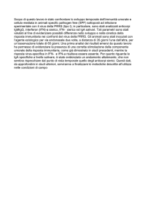 Scopo di questo lavoro è stato confrontare lo sviluppo temporale