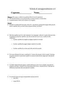 Scheda 4