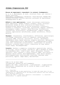 Schema Preparazione PhD