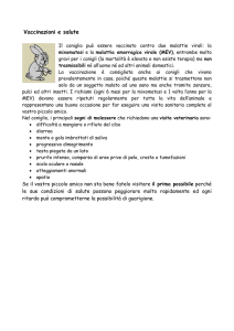 Vaccinazioni e salute