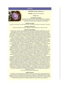 Carciofo - Farmacia S. Antonio – Brescia