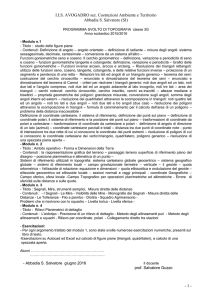 programmazione ist. tec. per geometri "aniene"