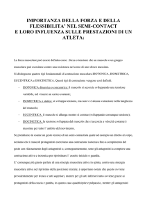 importanza della forza e della flessibilita` nel semi-contact