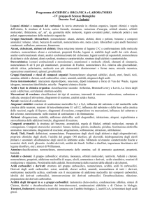 Iadonisi Programma C..