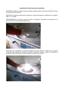 reazione di sintesi del magnesio