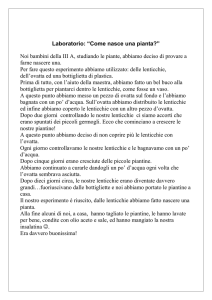 Laboratorio: “Come nasce una pianta