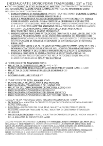 ENCEFALOPATIE SPOMGIFORMI TRASMISSIBILI