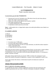 Lezioni di Biodiversità – Prof