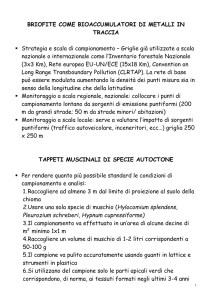 briofite come bioaccumulatori di metalli in traccia